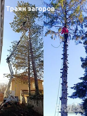 косене на трева, рязане(кастрене) на дървета,почистване на терени, снимка 7 - Други почистващи услуги - 53015352