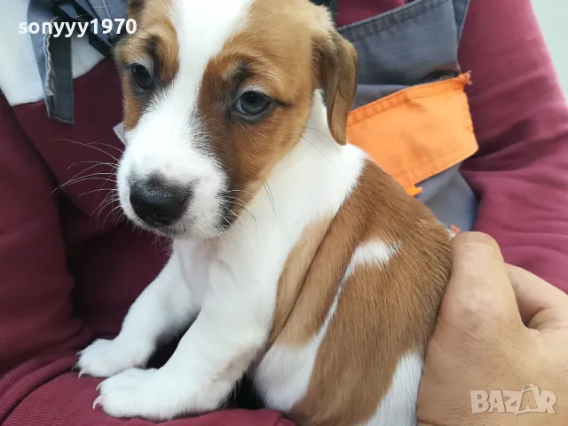 ДЖАК СИ ТЪРСИ ЖЕНСКА ЗА БЕБЕТА 0805251646, снимка 2 - Търси партньор - 50208685