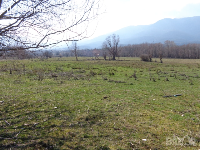 7 дка недвижим имот край град Банско, снимка 7 - Земеделска земя - 22046331