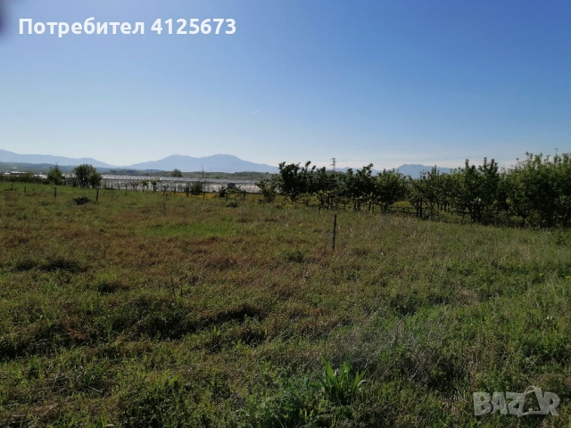 Продава къща и земеделска земя, снимка 15 - Къщи - 52563756