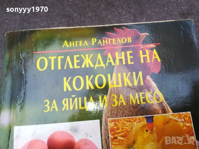 КОКОШКИ 1002250746, снимка 2 - Други - 49049884