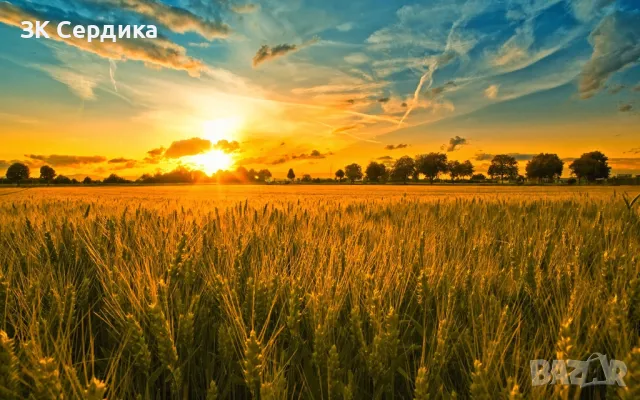 Купувам земеделска земя в цялата страна