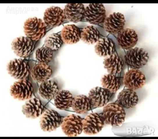 Шишарки, 0.10ст., снимка 5 - Други - 47569078