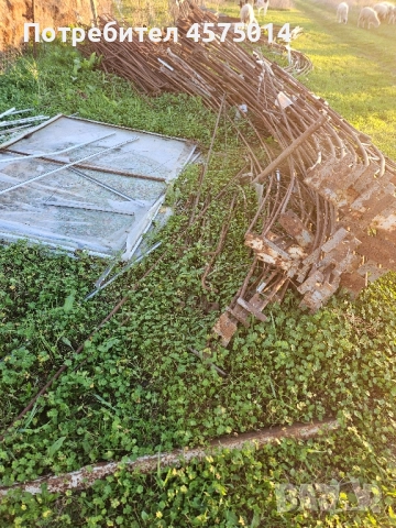 оранжерия , снимка 4 - Оранжерии - 52529368