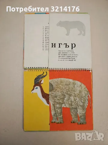 От А до Я. Забавна азбука - Михаил Руев, Атанас Душков, снимка 2 - Детски книжки - 48250773