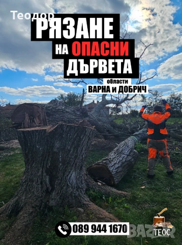 Рязане на опасни дървета и почистване на дворове – Варна, снимка 9 - Хамалски услуги - 53670302