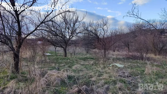 Продавам парцел в село МУЛДАВА Площ: 2259кв.м. , снимка 5 - Парцели - 55801390