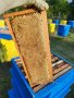 Пчелен Мед  реколта 2023г,ливадни билки, букет , снимка 1