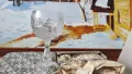 Български кристал, чаши за коняк , снимка 8