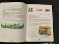 Комплект 3 броя детски книжки за гората, снимка 3