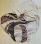 Прозрачна лятна блуза, снимка 1 - Корсети, бюстиета, топове - 41370797