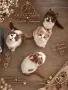 Британски котки , снимка 4