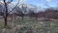 Продавам парцел в село МУЛДАВА Площ: 2259кв.м. , снимка 5