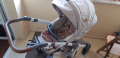 СПЕШНО ! Бебешка количка LORELLI 2 в 1 СПЕШНО!, снимка 1 - Детски колички - 36278564