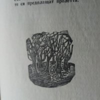 Шал от калинки - Вътьо Раковски, снимка 5 - Детски книжки - 36009097