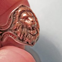 солиден сребърен мъжки пръстен с разярен сребърен Лъв - заслужи уважение и покажи че си влиятелна и , снимка 3 - Пръстени - 39410073