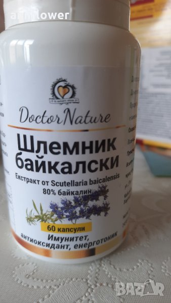 Шлемник Байкалски, снимка 1