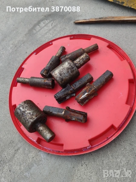 Фрези, снимка 1