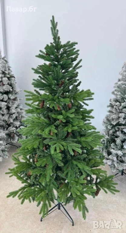 Красива елха с естествени шишарки , снимка 1