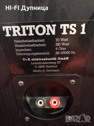 T+A TRITON TS1, снимка 6 - Тонколони - 44303509