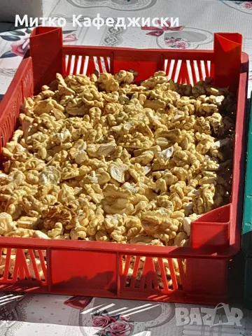 продавам орехови Ядки 