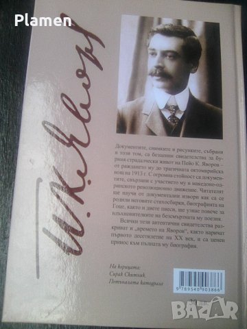 Том 7 ми документи снимки шаржове и рисунки за П.К.Яворов, снимка 5 - Други ценни предмети - 41208058