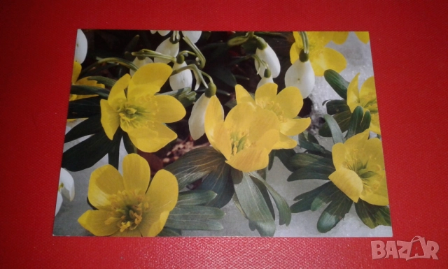 4 прекрасни двойни картички на тема "Зимна природа"с подходящи послания, снимка 8 - Колекции - 52380809