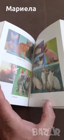 Кучета и други животни , снимка 7 - Специализирана литература - 50879058