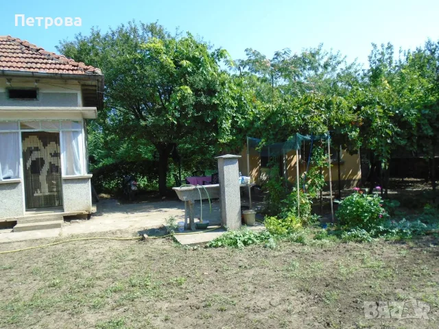 Продавам къща с 2.5 дка двор в село Селановци, снимка 8 - Къщи - 56233421