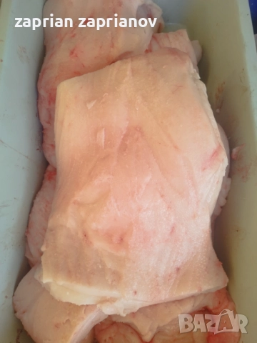 Сланина прясна , снимка 2 - Прасета - 52929035