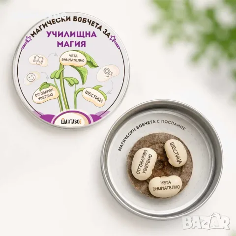 Комплект магически бобчета за Училищна магия