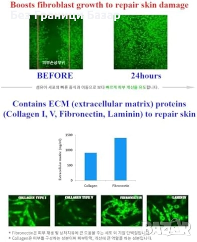 Нови WHITESILK Дълбоко регенериращи ампули за лице – анти-ейдж формула, снимка 4 - Козметика за лице - 51744707