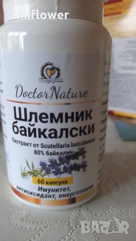 Шлемник Байкалски, снимка 1