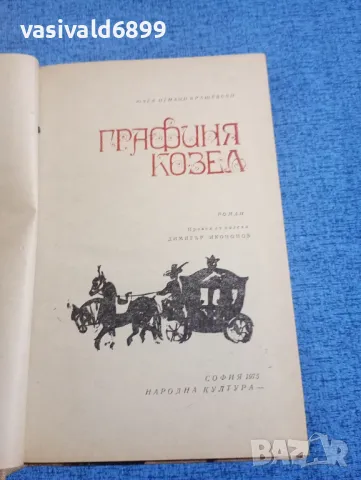 Юзеф Крашевски - Графиня Козел , снимка 4 - Художествена литература - 50342655