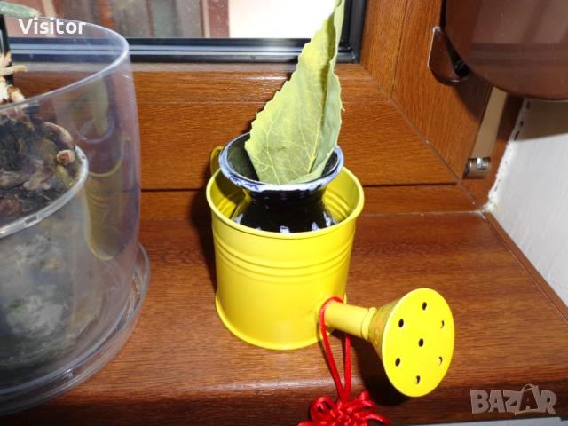  Sony Cyber-shot DSC-W630    16.1 MpX, снимка 12 - Фотоапарати - 52954018