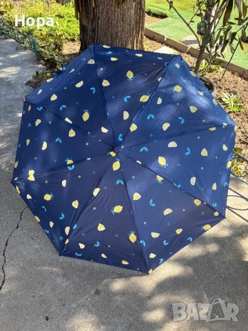 Сгъваеми чадъри с лимони и ягоди , снимка 14 - Други - 53750480