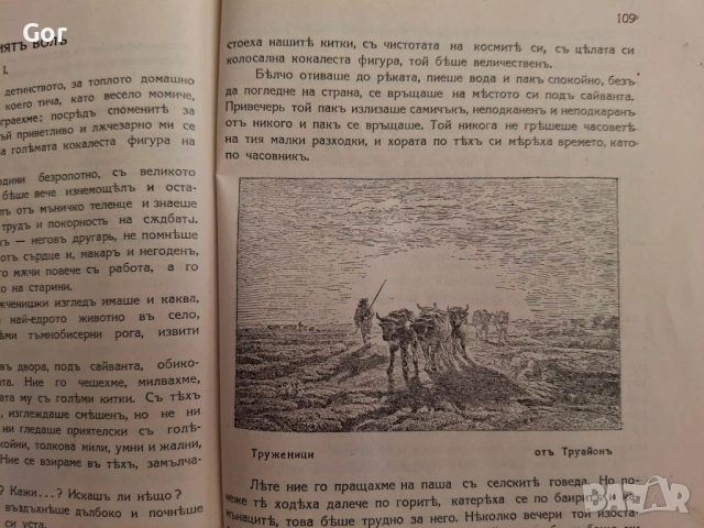 БИБЛИОГРАФСКА РЯДКОСТ: Елисавета Багряна и Калина Малина (1932 г.), снимка 5 - Антикварни и старинни предмети - 53809826