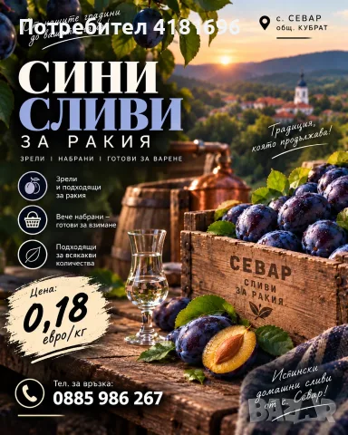 Сини сливи за ракия - 0,18 €/кг