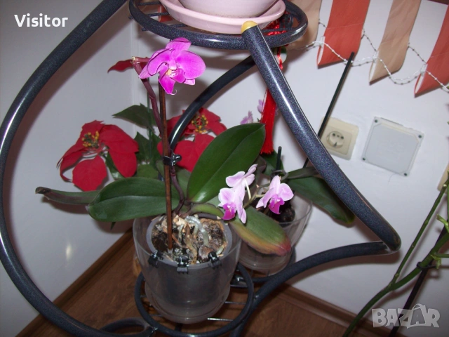 Kodak EasyShare C713, снимка 13 - Фотоапарати - 53432963