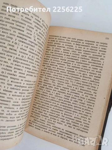 Ръководство по обща ботаника 1898г, снимка 2 - Специализирана литература - 55840243