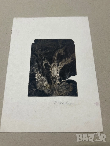 Картина на проф. Петър Чуховски