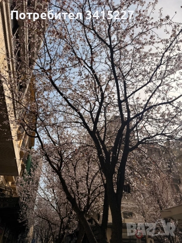 Canon Powershot 620 HS, снимка 9 - Фотоапарати - 53699598