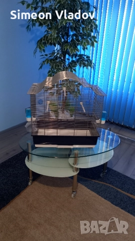 ПРОДАВАМ НОВА КЛЕТКА., снимка 2 - За птици - 52258882