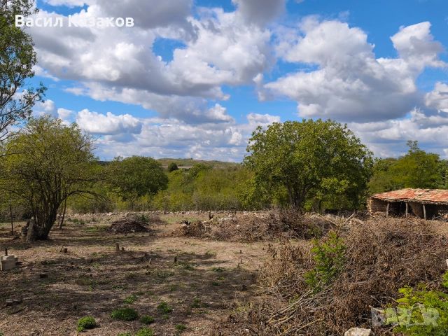 УПИ 2440кв.м. с. Момчилово с ток и вода, снимка 3 - Парцели - 52636714