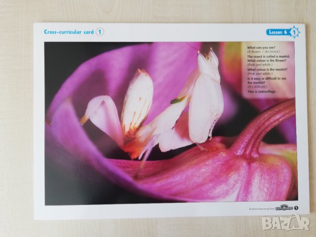 Young Explorers 1 Teacher's Resource pack, снимка 14 - Чуждоезиково обучение, речници - 41538297