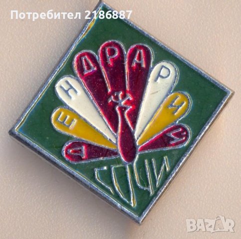 Значка Русия Дендрарий Сочи, снимка 1 - Колекции - 39030148