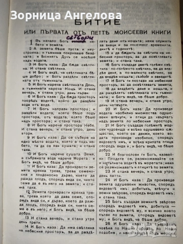Рядко срещана протестантска Библия (Стар и Нов Завет), Стар правопис, снимка 6 - Колекции - 53332548