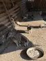Продавам Чистокръвни Кангалчета, снимка 2