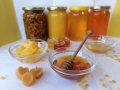 Чист и лейковит пчелен Мед , снимка 1 - Пчелни продукти - 38702949