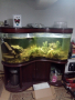 аквариум, снимка 1 - Аквариуми - 36300558